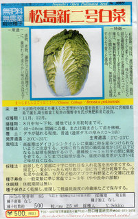 松島新二号白菜